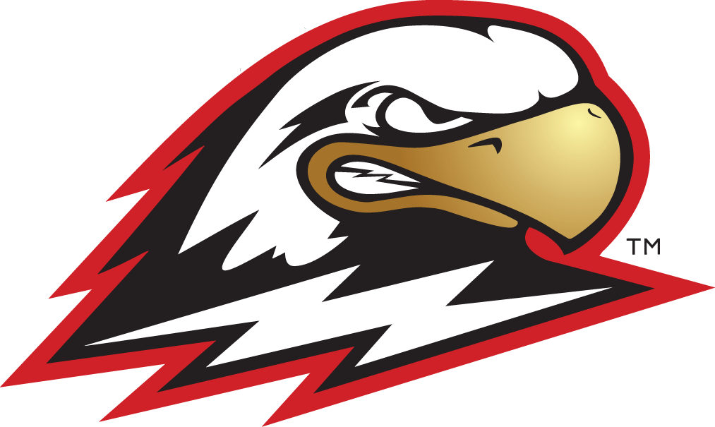 Southern Utah Thunderbirds 2002-Pres Secondary Logo diy iron on heat transfer